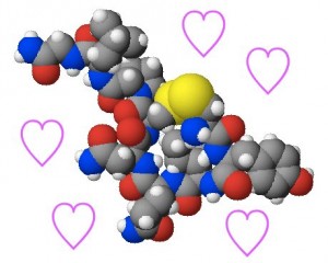 20131227Oxytocin